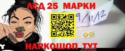 индика Железногорск
