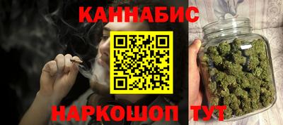 индика Железногорск