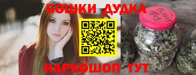 индика Железногорск