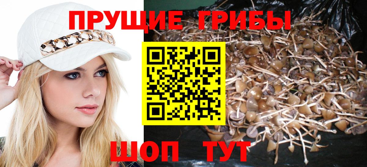 Курск  Галлюциногенные грибы Magic Shrooms  Вход с VPN 