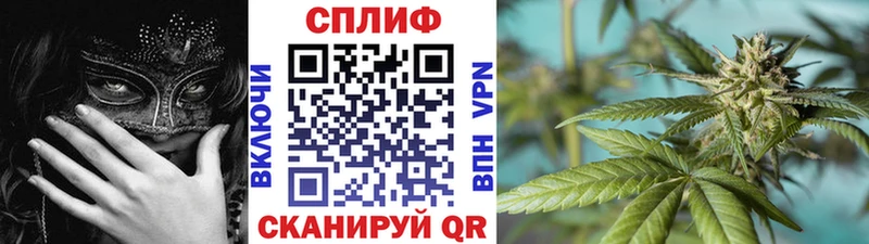 Каннабис ГИДРОПОН  kraken маркетплейс  Курск 